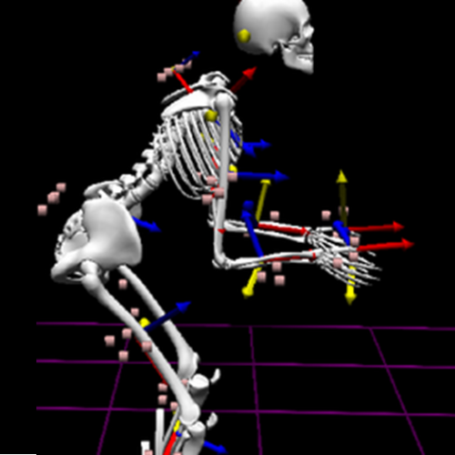 Skeleton in VR with forces applied